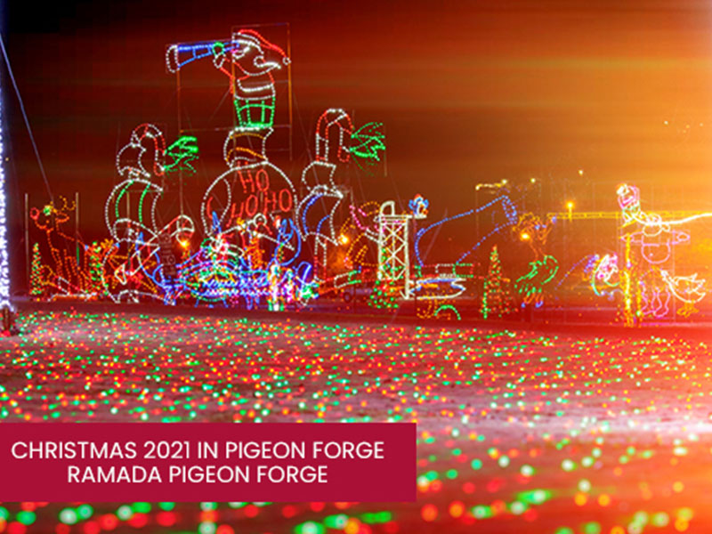 Blog Christmas 2021 in Pigeon Ramada Pigeon