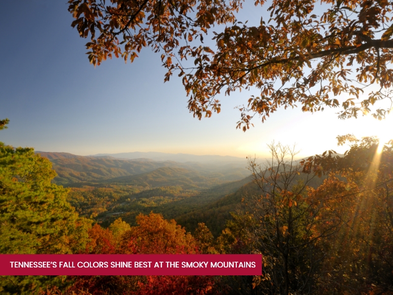 Tennessees Fall Colors Shine Best at the Smoky Mountains